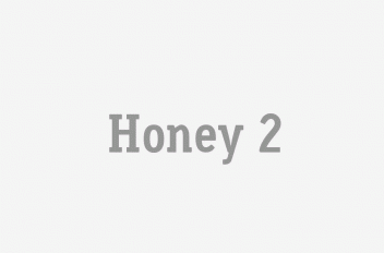 Honey 2